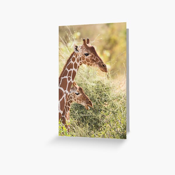 Item preview, Reticulated Giraffes designed and sold by Faraaz Abdool.