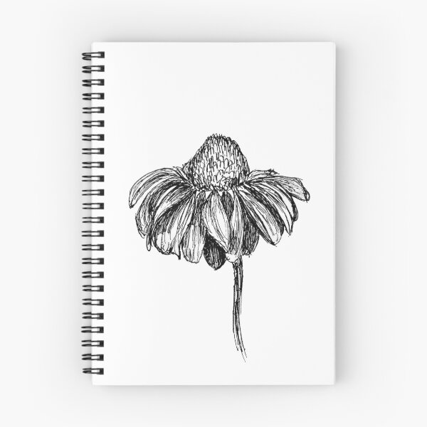 Item preview, Echinacea designed and sold by O-Haas.