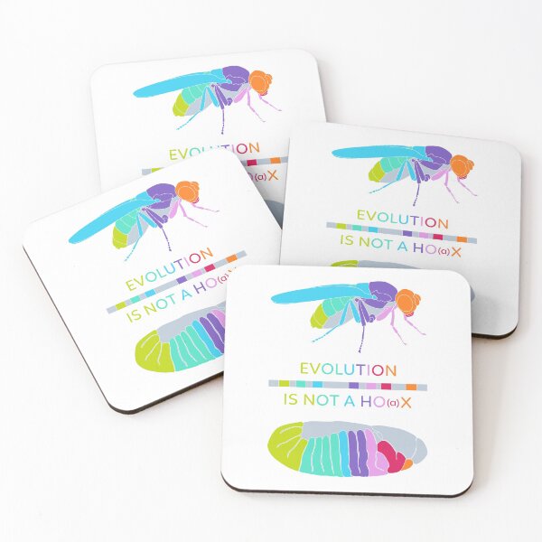 Item preview, Drosophila Hox Genes - Evolution is not a Ho(a)x designed and sold by thevexedmuddler.