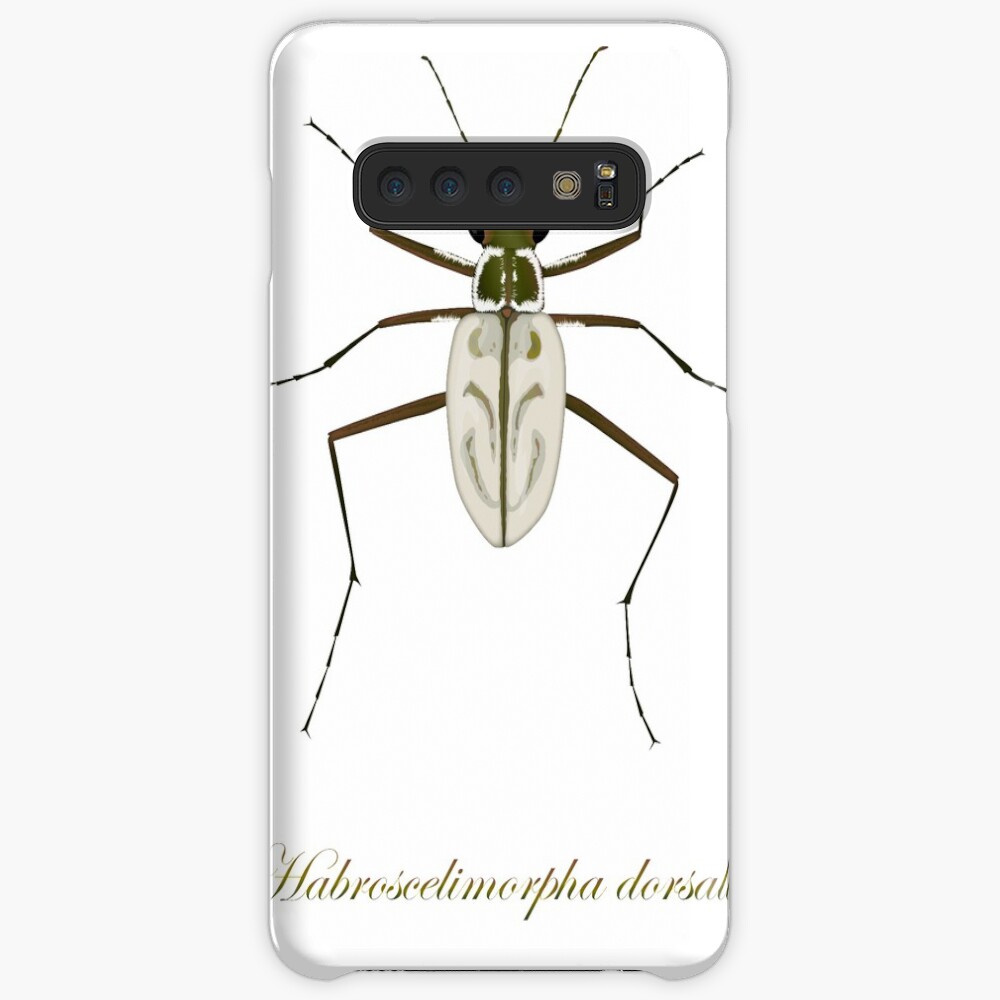 Northeastern Beach tiger beetle, Habroscelimorpha dorsalis Case & Skin for Samsung Galaxy