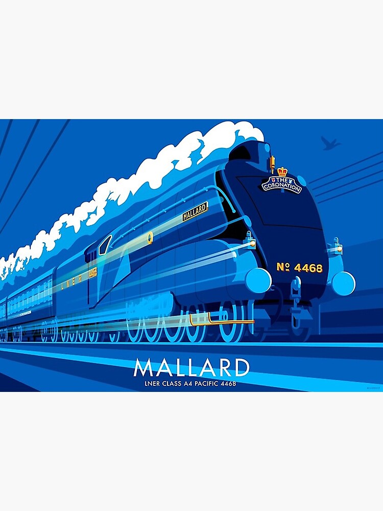 Mallard by aniandahyan