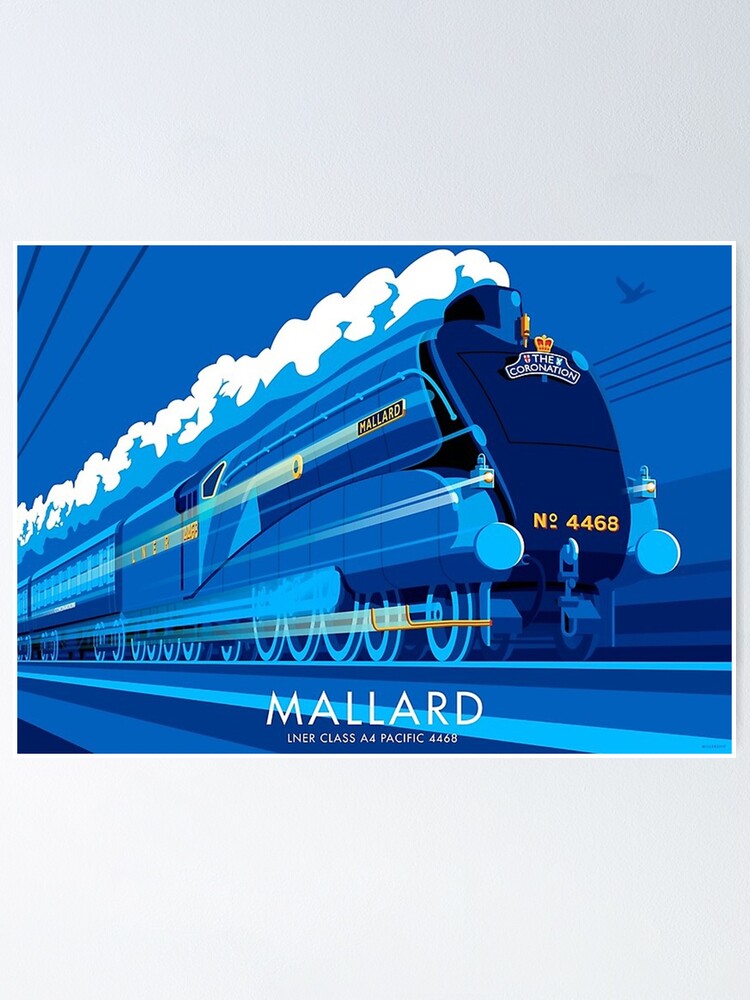 Alternate view of Mallard Poster