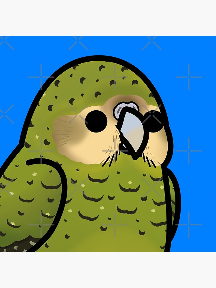 Too Many Birds! Kākāpō