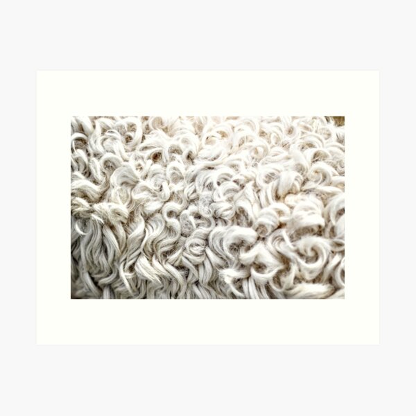Item preview, In sheeps clothing? designed and sold by Seashorepics.