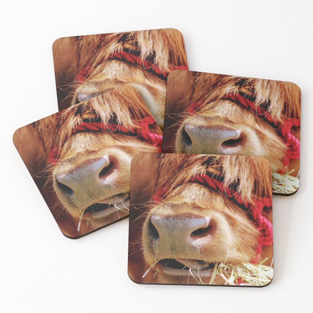 Chewing on hay Coasters (Set of 4)