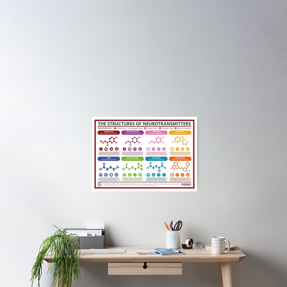 Chemical Structures of Neurotransmitters Poster