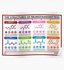 Chemical Structures of Neurotransmitters Poster