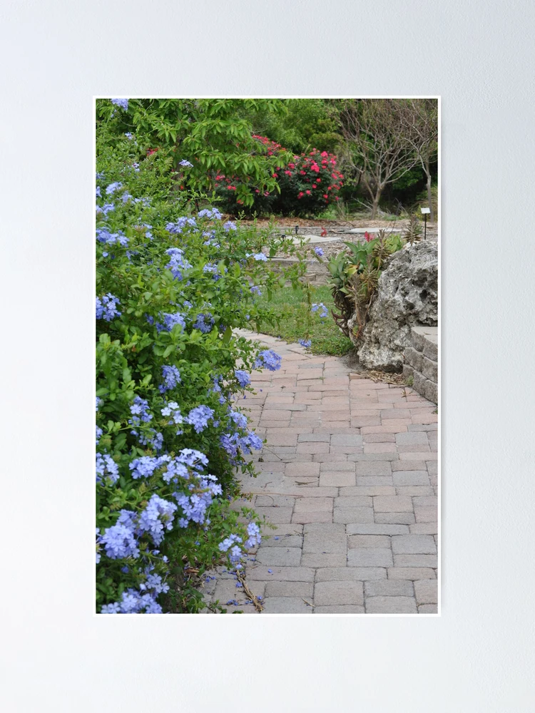 Thumbnail 1 of 3, Poster, An Inviting Path designed and sold by JECunningham.