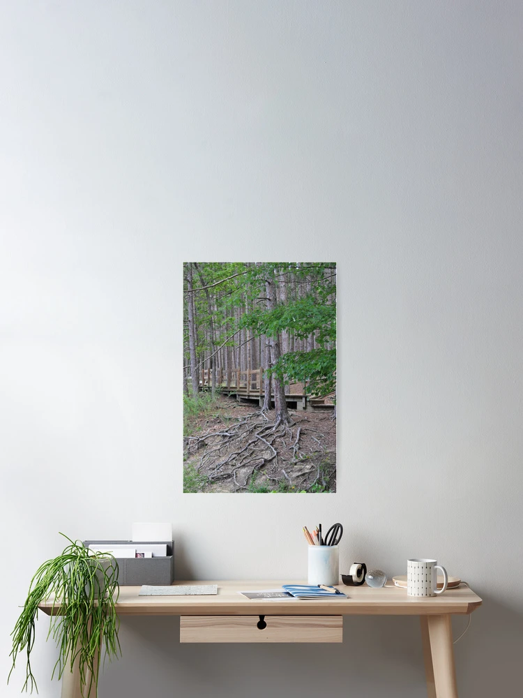 Imagen 2 de 3, Póster con la obra Exposed Roots, diseñada y vendida por JECunningham.