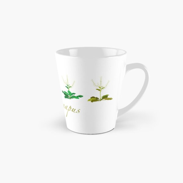 Brassica napus - Canola plant development Tall Mug