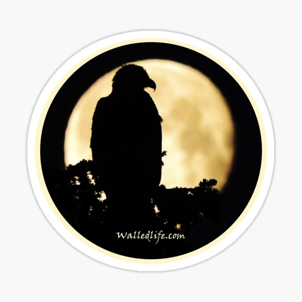 Eagle Silhouette Sticker