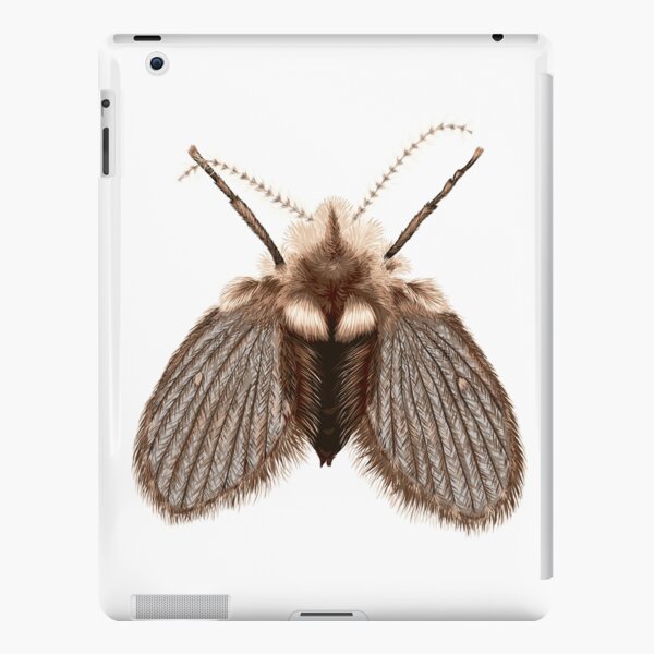 Clogmia albipunctata iPad Snap Case