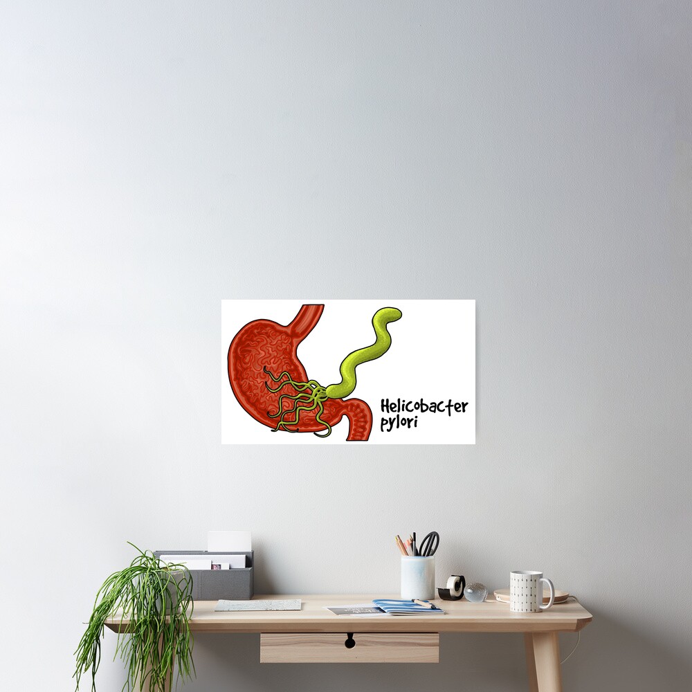 Helicobacter pylori Poster