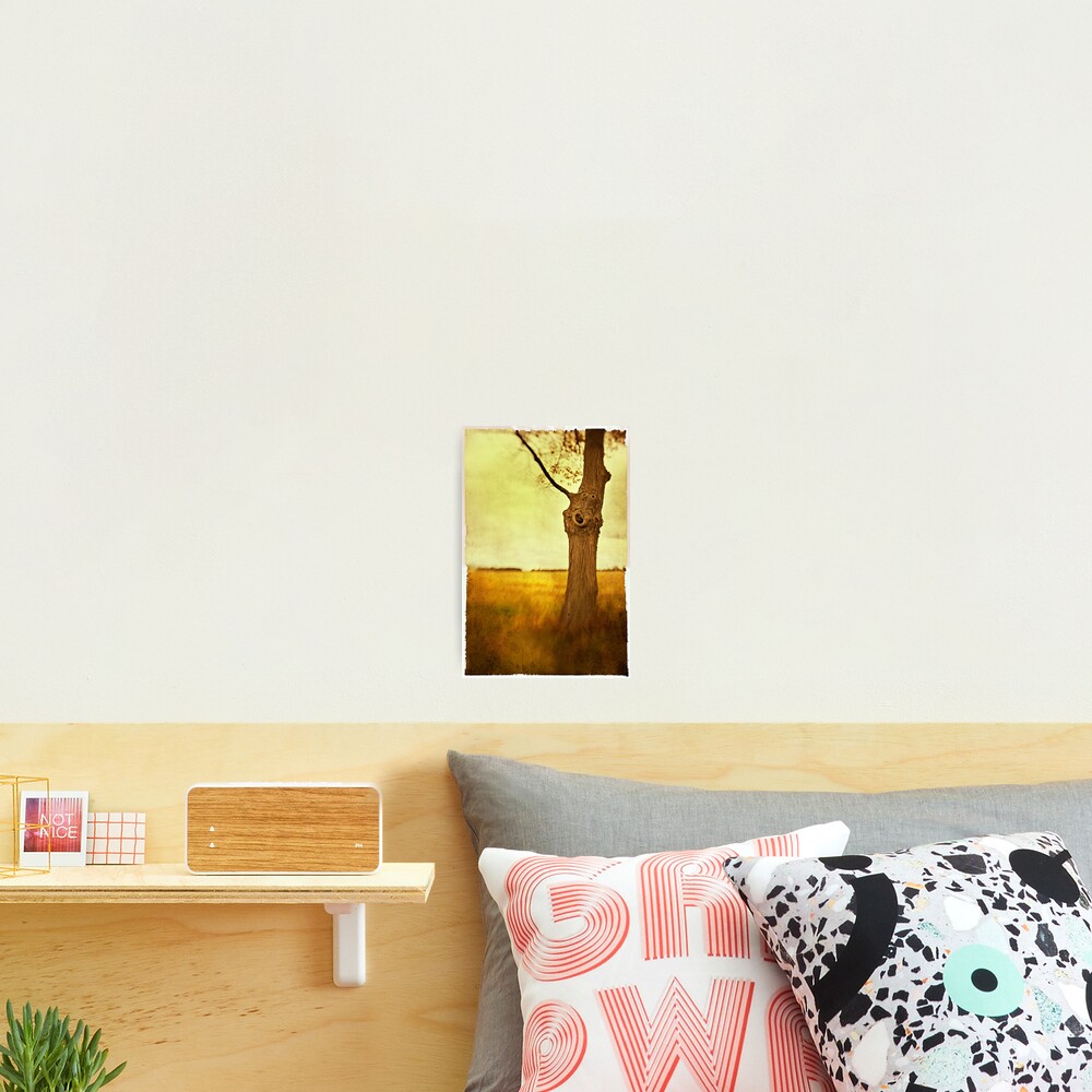 Item preview, Photographic Print designed and sold by jumpinjimmyjava.