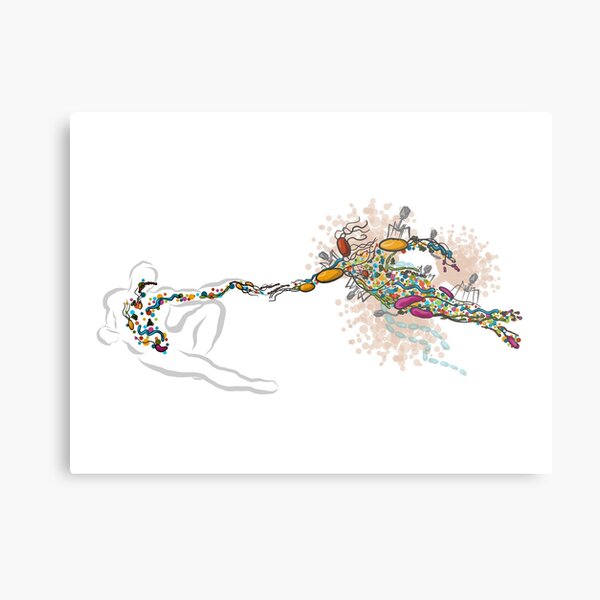 Creation Metal Print