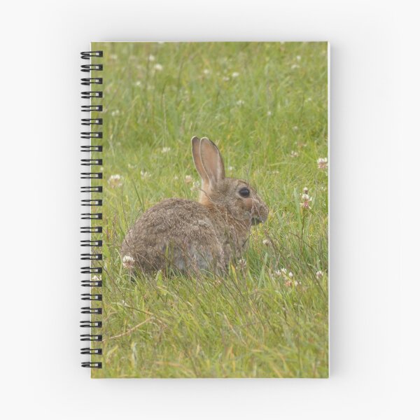 Item preview, Shy Rabbit designed and sold by C Rose.