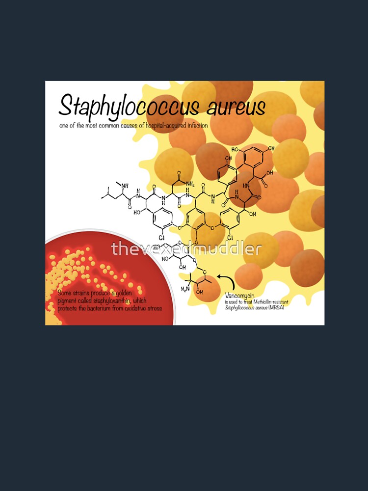 Staphylococcus aureus by thevexedmuddler