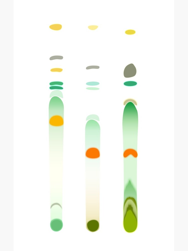 Need a little TLC - thin layer chromatography by thevexedmuddler