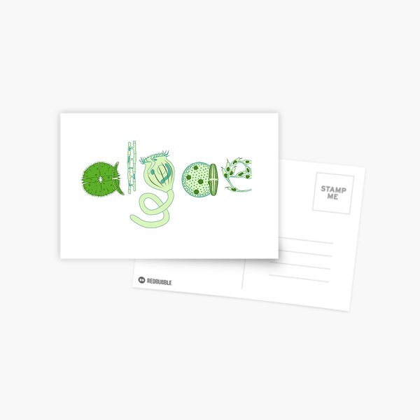 Literate Microscopic Algae Postcard
