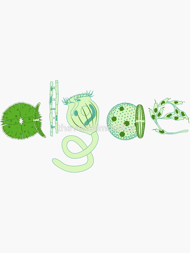 Literate Microscopic Algae by thevexedmuddler