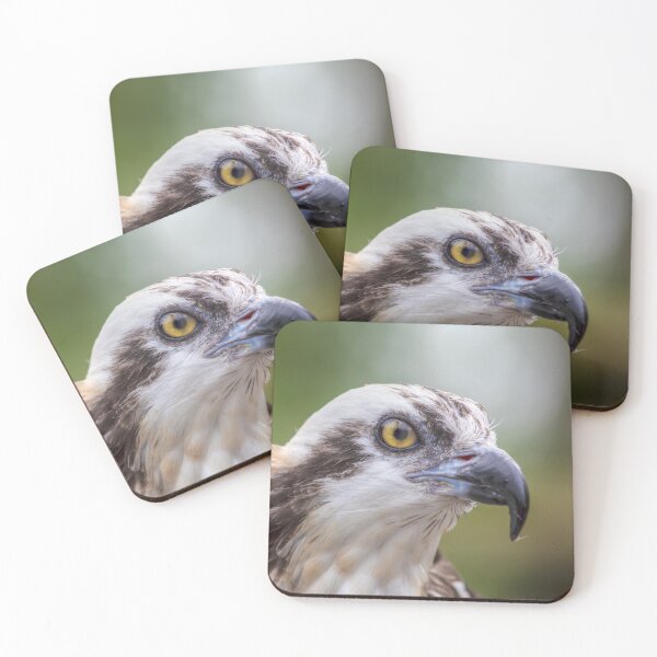 Item preview, Osprey Portrait designed and sold by Kristina Rinell.