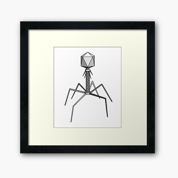 T4 bacteriophage virus Framed Art Print