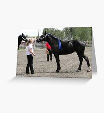 Percheron Mare Beauty II Greeting Card