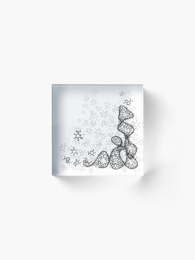 Alternate view of tRNA (transfer RNA) structure Acrylic Block