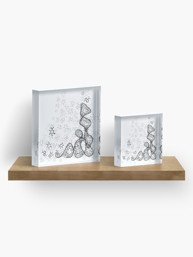 Alternate view of tRNA (transfer RNA) structure Acrylic Block