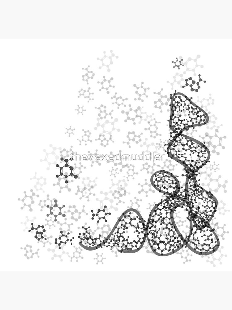 tRNA (transfer RNA) structure by thevexedmuddler