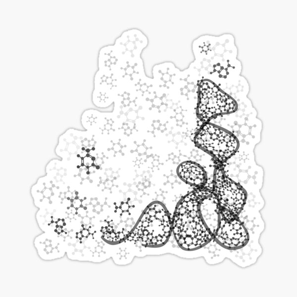 tRNA (transfer RNA) structure Sticker