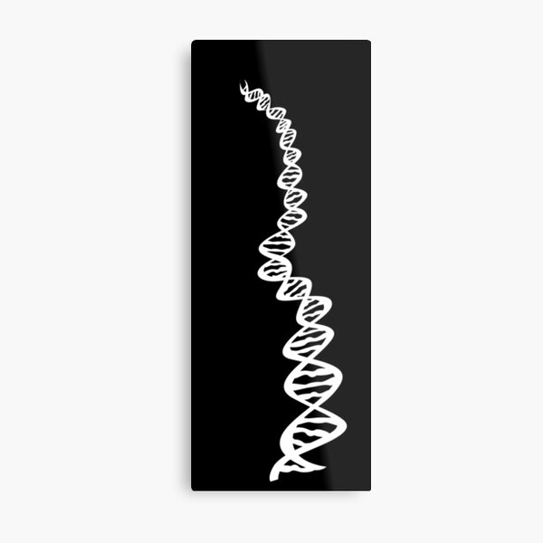 DNA strand - white Metal Print