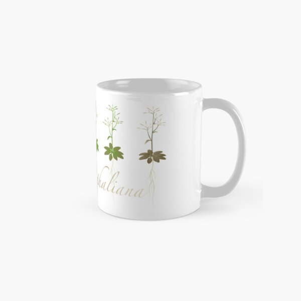 A. thaliana development Classic Mug