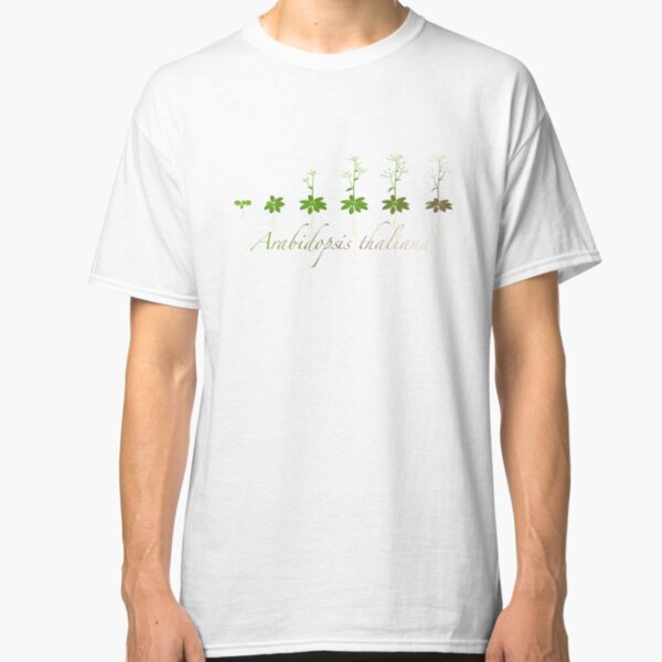 A. thaliana development Classic T-Shirt