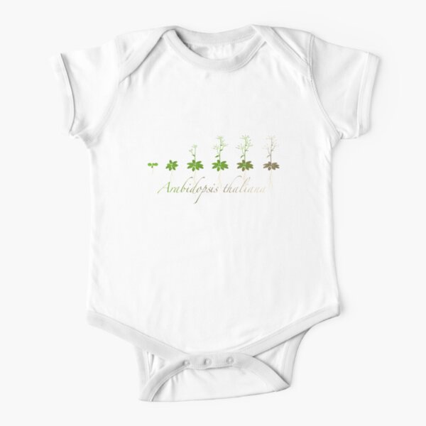 A. thaliana development Short Sleeve Baby One-Piece