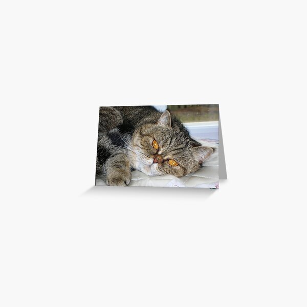 Relax Greeting Card