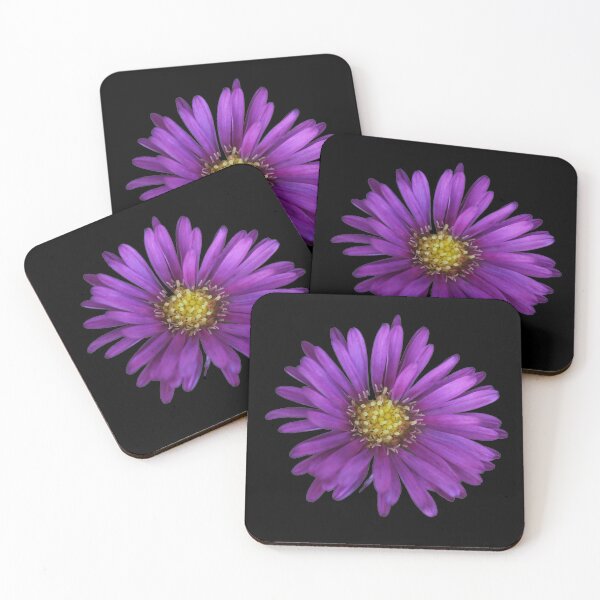 Item preview, Aster Knockout designed and sold by StampCity.