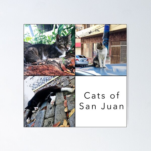 Item preview, Cats of San Juan, Puerto Rico designed and sold by jc73design.