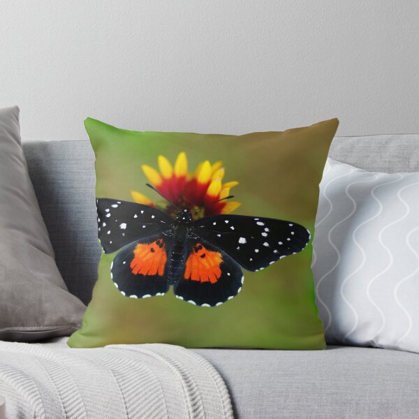 Item preview, Parche carmesí designed and sold by Bill Morgenstern.