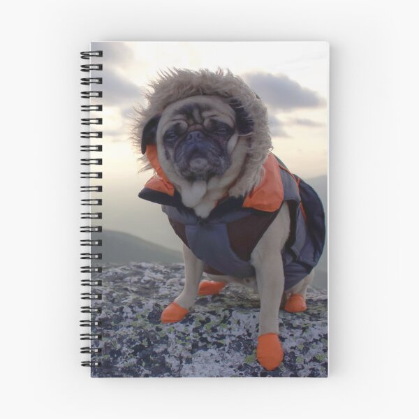 Item preview, The Weary Eyed Mountaineering Pug designed and sold by pugventurephoto.