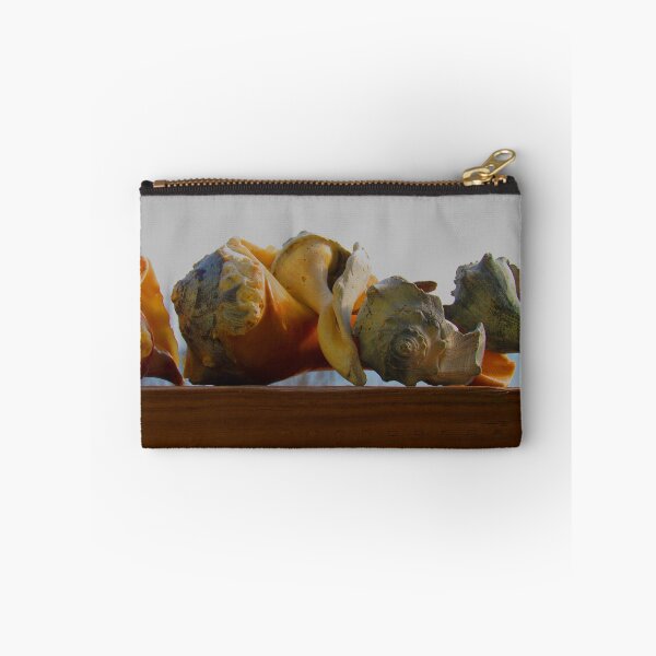 Item preview, Shells of the Sea designed and sold by bertsworks300.