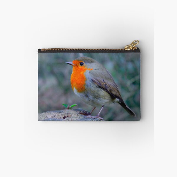 Item preview, Robin designed and sold by Willowsemporium.