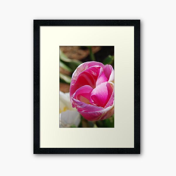 Secret Framed Art Print