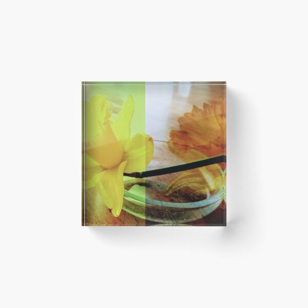 Item preview, Daffodil in dish designed and sold by Ioka.