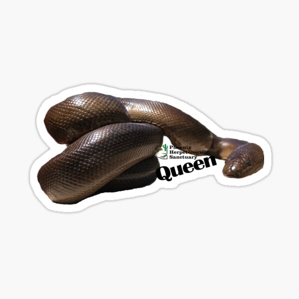 Queen the Rubber Boa Sticker