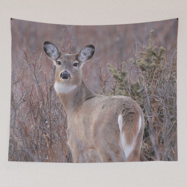 Item preview, White Tailed Doe designed and sold by Alyce Taylor.