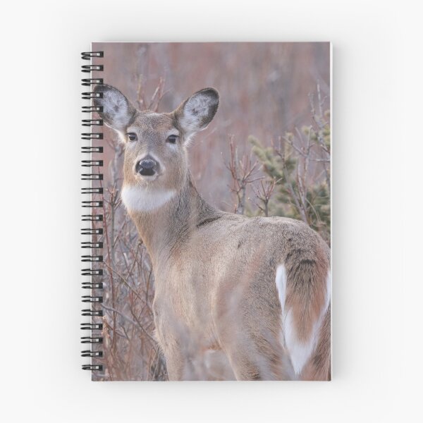 Item preview, White Tailed Doe designed and sold by Alyce Taylor.