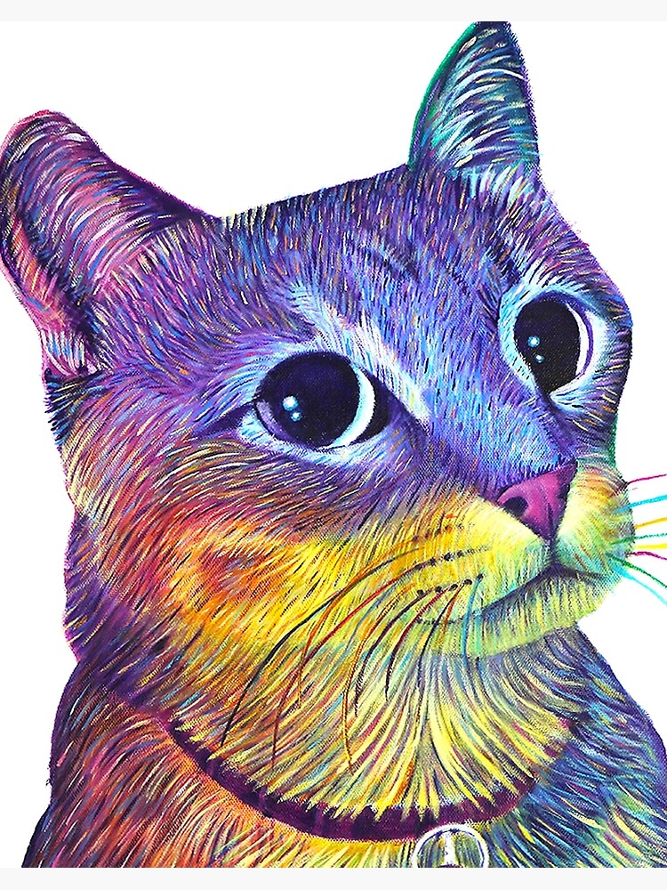 Impression Rigide Arc En Chat Chat Colore Art Du Chat Art Du Chat Couleur Par Kitslam Redbubble