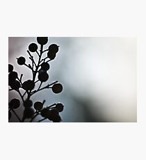 Aura Photographic Print