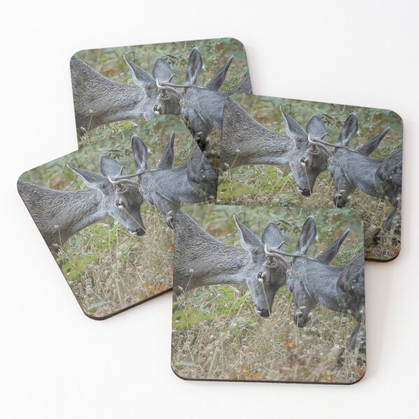 Item preview, Butting Heads designed and sold by Belinda Greb Photography.